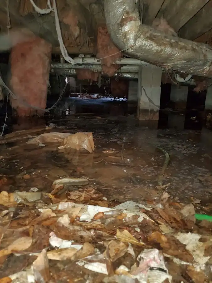 Crawl space flood assessment for Commercial Water Damage Restoration in Belmont