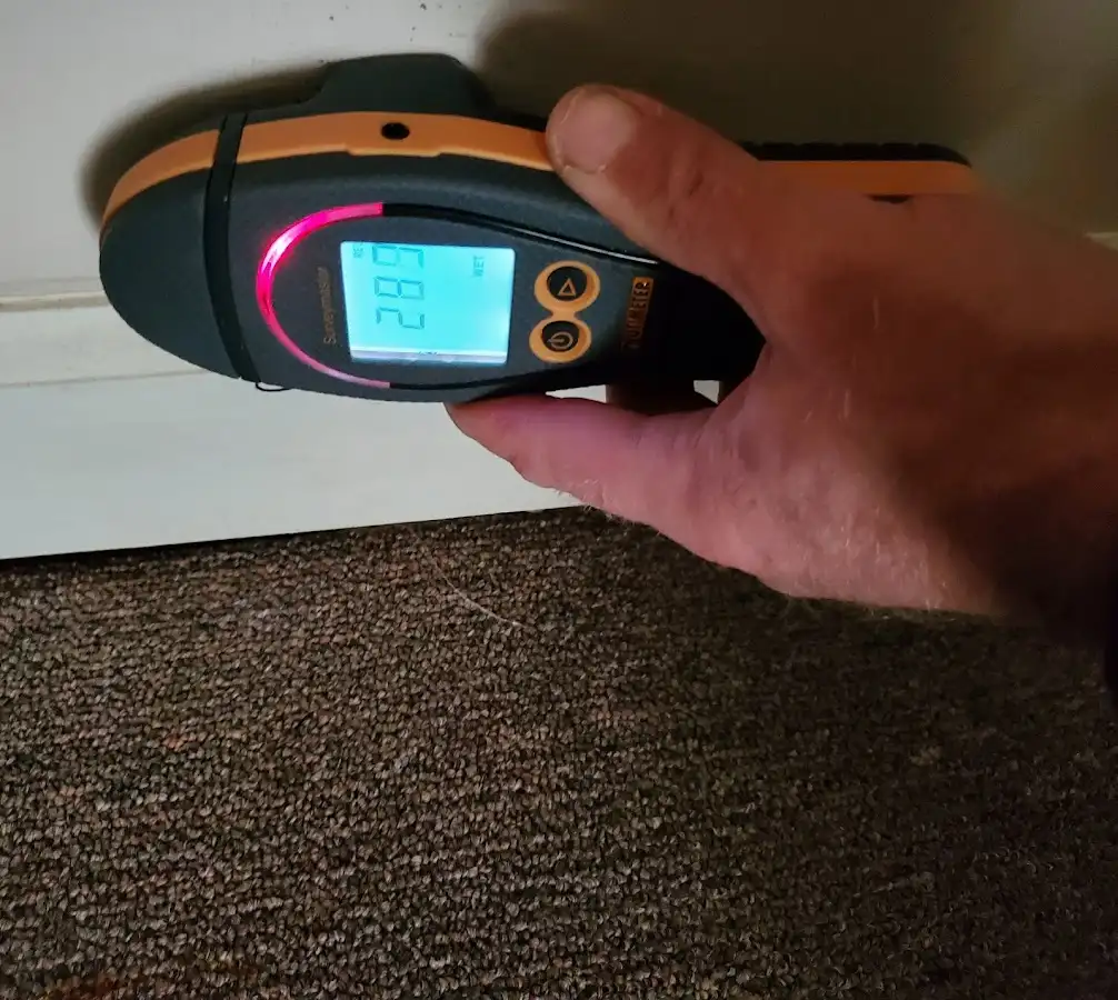 Moisture detection at baseboard during Burst Pipe Cleanup in Belmont